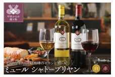 ミュールシャトーブリヤン赤･白2本セット（サドヤミュール）