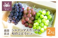 【2025年配送分】シャインマスカット入り詰め合わせ　２kg