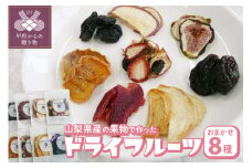 ドライフルーツ8種セット