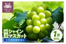 〈2025年度配送分〉【全房糖度測定済み】 山梨県産 特選シャインマスカット 1房（600g） シャインマスカット 先行予約 2025年 山梨県 ブドウ 種なし リピーター多数 数量限定 草生栽培 1房 600g 糖度測定 2025年8月上旬より順次配送予定