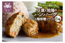 豆腐と地鶏のハンバーグと梅味噌ソース6個入り（11）