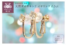 〈 甲府ジュエリー 〉天然ダイヤモンド合計0.5ct 18金 イヤリング [1460042]