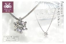 〈 甲府ジュエリー 〉HPｔ950（ハードプラチナ950）【D SI EX H&C】ダイヤモンド0.2ctシンプルペンダント K027913-H
