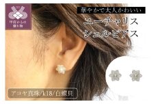 〈 甲府ジュエリー 〉K18　白蝶貝　ユーチャリスシェルピアス　K18EP0522W
