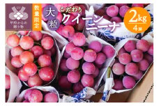 山梨県甲府市産 大粒クイーンニーナ4房 （2㎏）