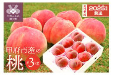 〈2025年度配送分〉甲府市産 桃 約3kg（8～12玉） 桃 山梨 もも ピーチ 3kg フルーツ 甘味 ジューシー 山梨県産 フルーツ王国 生産量日本一
