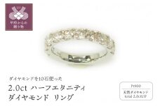 〈 甲府ジュエリー 〉【サイズ：11号】プラチナ 2.0ctハーフエタニティダイヤモンド リング　　　　HR-009022