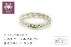 【サイズ：13号】〈 甲府ジュエリー 〉プラチナ 2.0ctハーフエタニティダイヤモンド リング　　　　HR-009022