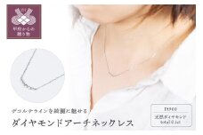 〈 甲府ジュエリー 〉PT900 アーチネックレス ARC-N-PT