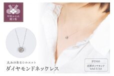 〈 甲府ジュエリー 〉PT900 ダイヤモンドネックレス　DYM-N-PT