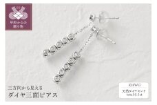 Deliciae　K18WG　三面ダイヤ【0.5ct】ピアス　K04016-H
