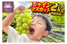 〈2025年度配送分〉山梨県甲府市産シャインマスカット 2房～4房（約2.0kg） シャインマスカット 先行予約 2025年 山梨 県産 ぶどう 甲府 市産 2房～4房 約2.0kg フルーツ 糖度20度前後 高級 完熟 産地直送 人気急上昇中 高評価 フルーツ王国山梨 贈答 ギフト 2025年8月中旬～9月下旬にかけて順次配送