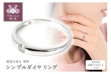 〈 甲府ジュエリー 〉【サイズ：9号】0.1CT シンプルダイヤリング　R3629DI-2