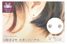 〈 甲府ジュエリー 〉１０金 イエローゴールド製 ダイヤモンド 一粒 スタッドピアス Total 0.10ct 【1449552】