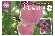 〈2024年度配送分〉すもも「貴陽」 6-8玉（2024年7月上旬～下旬にかけて順次配送予定）