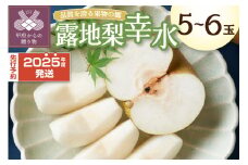 〈2025年度配送分〉露地梨「幸水」 5-6玉（2025年7月下旬～8月上旬にかけて順次配送予定）梨 幸水 先行予約 2025年 山梨 県産 露地梨 フルーツ王国 山梨 産地直送 大玉 5～6個