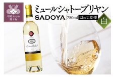 【定期便12回】　老舗ワイナリー　サドヤの ミュールシャトーブリヤン白12回コース