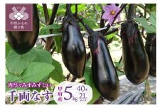 なす(千両茄子) 5㎏