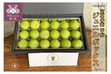 〈2025年度配送分〉宝石の街甲府の『シャインのジュエルBox（S）』シャインマスカット 先行予約 2025年 山梨県 ブドウ 種なし リピーター多数 数量限定 草生栽培 ジュエルBOX 18粒 糖度測定 2025年8月上旬より順次配送予定