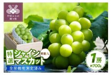 〈2025年度配送分〉【桐箱入り】特選 シャインマスカット 1房(約700g) シャインマスカット 先行予約 2025年 山梨県 ブドウ 種なし リピーター多数 数量限定 草生栽培 1房 約700g 桐箱入 糖度測定 2025年8月上旬より順次配送予定