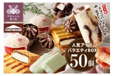 〈2025年9月発送〉チョコバッキーが必ず入る!!【シャトレーゼ】人気アイスバラエティBOX アイス アイスクリーム 【シャトレーゼ】  バニラ チョコバッキー スイーツ 大容量 食べ比べ 定番 アイスバー アソート 6種 セット 贈り物 ギフト 夏 休み 母の日 父の日 お中元 敬老の日