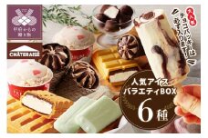 〈2025年9月発送〉チョコバッキーが必ず入る!!【シャトレーゼ】人気アイスバラエティBOX アイス アイスクリーム 【シャトレーゼ】  バニラ チョコバッキー スイーツ 大容量 食べ比べ 定番 アイスバー アソート 6種 セット 贈り物 ギフト 夏 休み 母の日 父の日 お中元 敬老の日