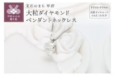 〈 甲府ジュエリー 〉Deliciae 大粒1カラット1粒 ダイヤモンドペンダント ネックレス 6本爪 天然ダイヤモンド1ct pt900 鑑別書付 DNCPT1001-9
