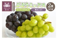 〈2025年度配送分〉山梨県甲府市産 ぶどうミックス 2房（シャイン・黒系ぶどう） シャインマスカット ぶどう 先行予約 2025年 山梨 県産 甲府 市産 数量限定 期間限定 フルーツ 黒ぶどう セット 糖度20度前後 2房 2種 高級 完熟 甘い 産地直送 人気急上昇中 高評価 フルーツ王国山梨 2025年8月上旬～9月中旬にかけて順次配送予定