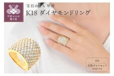 〈 甲府ジュエリー 〉【サイズ：14.5号】豪華 ダイア　5キャラット　K18リング　R3644DI-Y