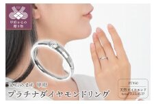 〈 甲府ジュエリー 〉【サイズ：11号】VS 0.15ＣＴ シンプルカットリング　R3808DI-P2