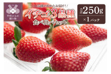 イチゴ3品種食べ比べ1パック