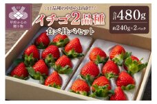 【2025-2026発送分】イチゴ2品種食べ比べセット いちご イチゴ 苺 先行予約 食べ比べ セット ギフト 贈答 プレゼント 採れたて フルーツ 2品種 約240g×2パック 冷蔵 フルーツ王国山梨 甲府市産