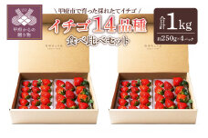 苺屋あとりゑイチゴ14品種食べ比べセット
