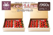 【2025-2026発送分】苺屋あとりゑイチゴ14品種食べ比べセット いちご イチゴ 苺 先行予約 食べ比べ セット ギフト 贈答 プレゼント 採れたて フルーツ 14品種 約240g×4パック 冷蔵 フルーツ王国山梨 甲府市産