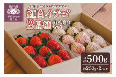 紅白イチゴ２品種食べ比べセット