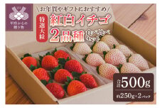 特選大粒　紅白イチゴ２品種食べ比べセット