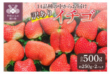 お得　訳ありイチゴ　500g