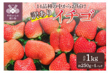 お得　訳ありイチゴ　1kg