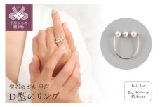 〈 甲府ジュエリー 〉【サイズ：8号】K10 Dのリング　10307