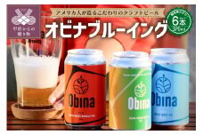アメリカ人が造るこだわりのクラフトビール 醸造家が選ぶ6本セット 山梨県甲府 オビナブルーイング