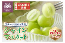 〈2025年度配送分〉シャインマスカット2kg(3~5房）