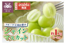 〈2025年度配送分〉シャインマスカット1kg(2~3房）