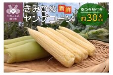 【2025年発送】きみひめヤングコーン60サイズ箱満タン（山梨県甲府市限定生産）