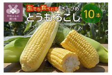 【2025年発送】きみひめとうもろこし10本（山梨県甲府市限定生産）