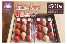 紅白イチゴ6品種食べ比べセット