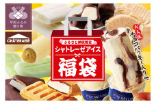 【ふるさと納税限定】大人気 チョコバッキーが必ず入る!! シャトレーゼ アイス福袋 10種 19個 アイス アイスクリーム シャトレーゼ バニラ 福袋 ふるさと納税限定 スイーツ 大容量 オリジナル 食べ比べ 詰合せ セット チョコ アイスバー 和菓子 アソート 10種 19個 贈答 ギフト 夏 休み お中元 お歳暮 お年賀 母の日 父の日