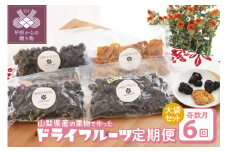 【奇数月定期便】　ドライフルーツ大袋セット