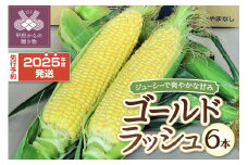 〈2025年度配送分〉とうもろこし「ゴールドラッシュ」 6本（2025年6月上旬～下旬にかけて順次配送予定）