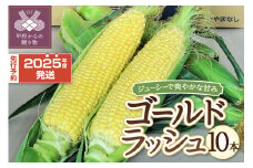 〈2025年度配送分〉とうもろこし「ゴールドラッシュ」 10本（2025年6月上旬～下旬にかけて順次配送予定）