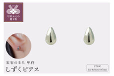 〈 甲府ジュエリー 〉【甲府ジュエリー】Pt900プラチナ　しずくピアス　3×5mm（19702159）